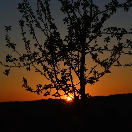 Du Four A Pain Semesterbostad *